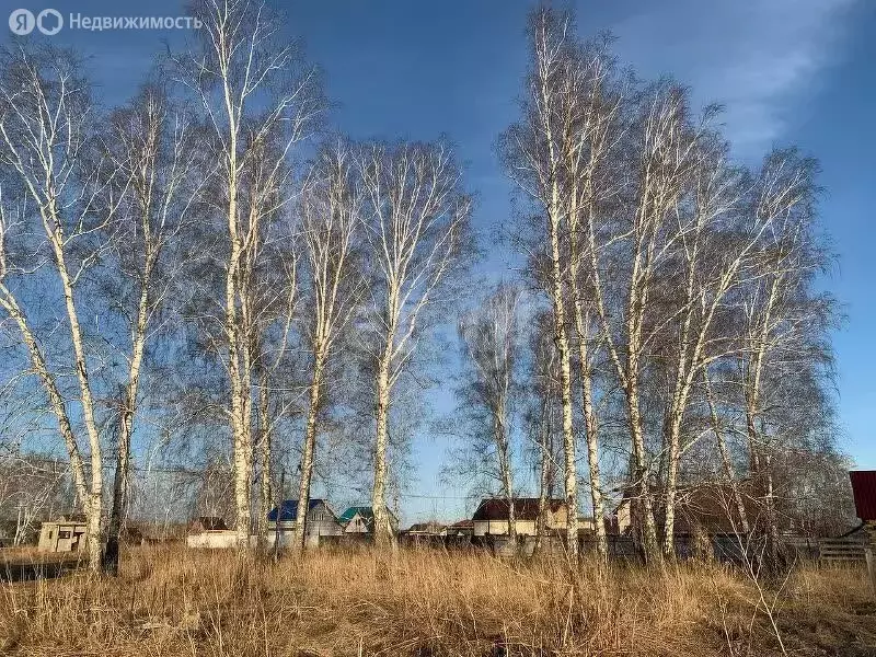 Участок в Новосибирский район, Верх-Тулинский сельсовет, ДНТ Берёзка, ... - Фото 1