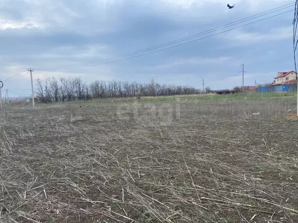 Участок в Ростовская область, Мясниковский район, с. Большие Салы ул. ... - Фото 2