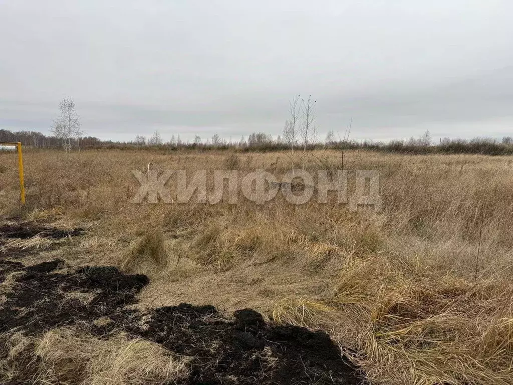 Участок в Новосибирская область, Новосибирский район, Верх-Тулинский ... - Фото 2
