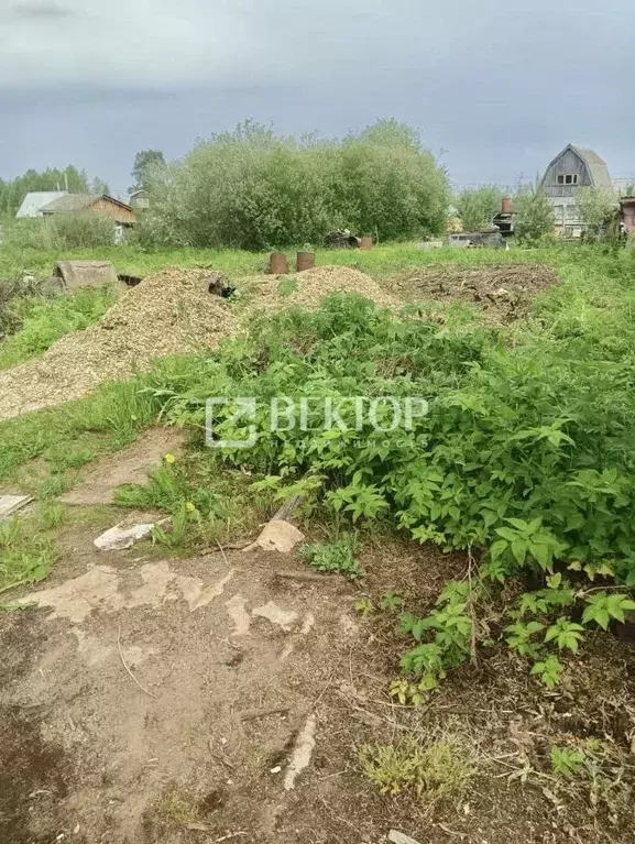 Участок в Костромская область, Кострома Майский СНТ,  (6.0 сот.) - Фото 0