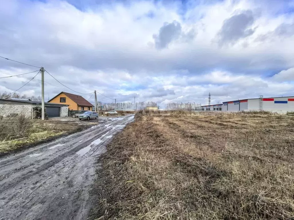 Участок в Новосибирская область, Новосибирский район, Станционный ... - Фото 0