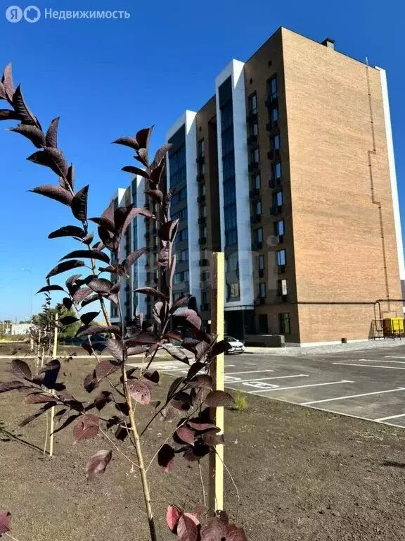 2-комнатная квартира: Тамбов, улица имени Павла Строганова, 3 (57.1 м) - Фото 2