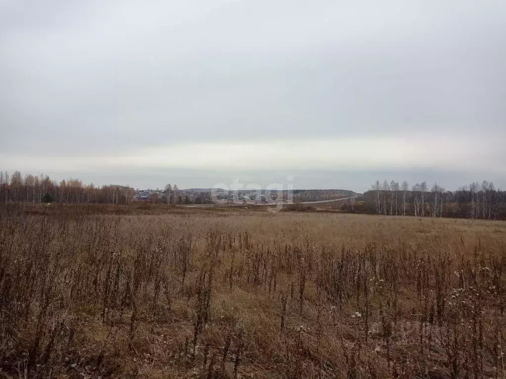 Участок в Свердловская область, Горноуральский городской округ, с. Лая ... - Фото 0