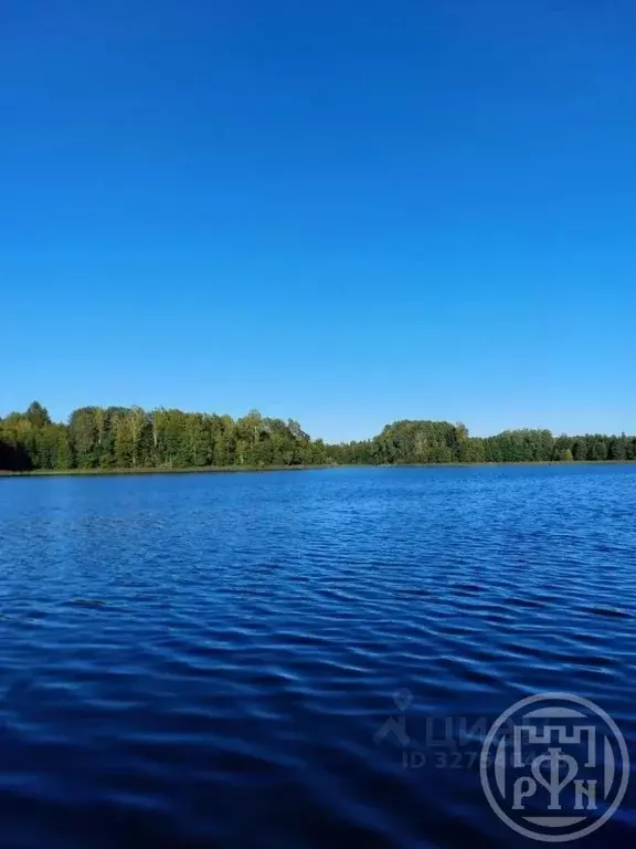 Участок в Ленинградская область, Лужский район, Скребловское с/пос, д. ... - Фото 2