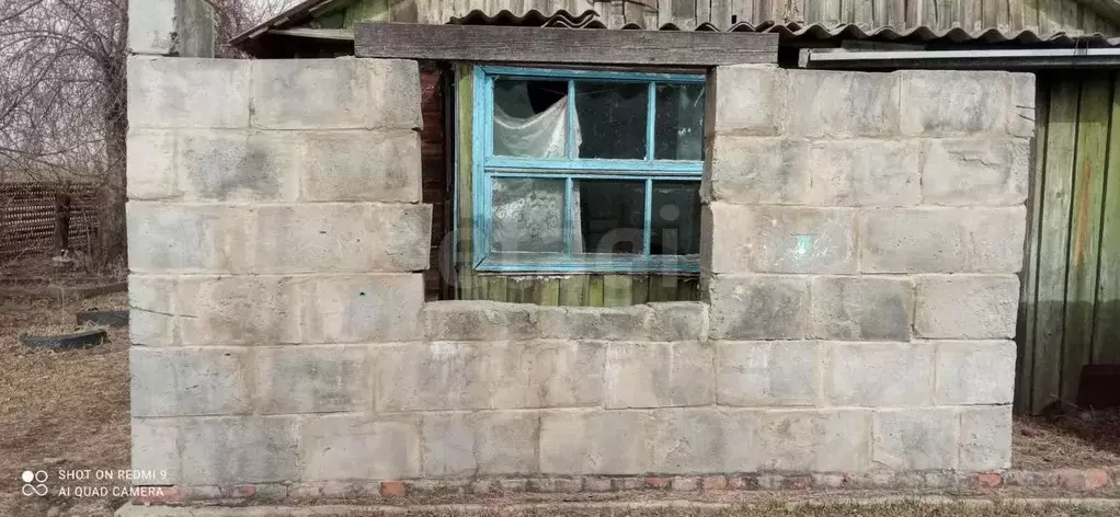 Дом в Амурская область, Ивановский муниципальный округ, с. Среднебелая ... - Фото 0