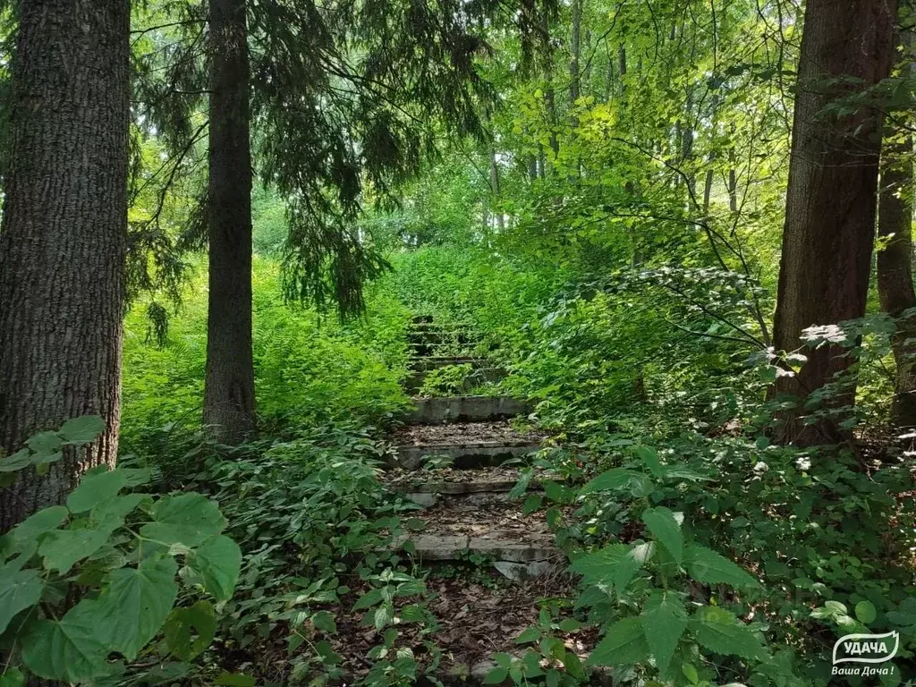 Участок в Московская область, Дмитровский муниципальный округ, д. ... - Фото 1