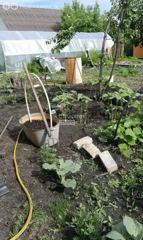 Дом в Челябинск, СНТ Прогресс, 2-й квартал, 38 (18.8 м) - Фото 2