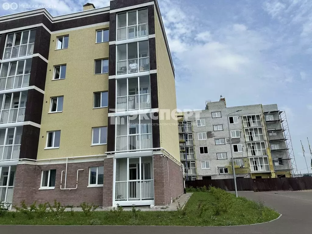 2-комнатная квартира: село Сокуры, Берёзовая улица, 3 (52 м) - Фото 2
