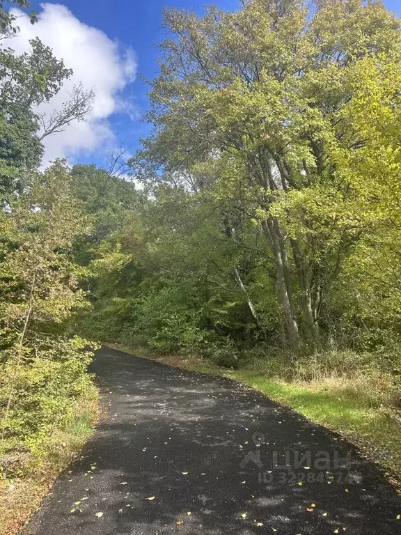 Участок в Крым, Ялта муниципальный округ, Голубой Залив пгт ул. Шайна ... - Фото 2