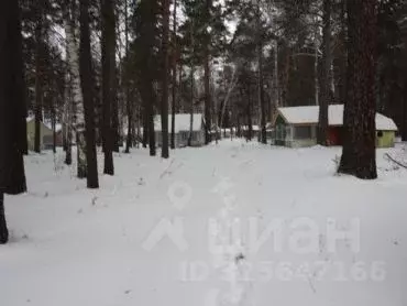 Участок в Томская область, Кожевниковский район, с. Киреевск  (128.9 ... - Фото 1