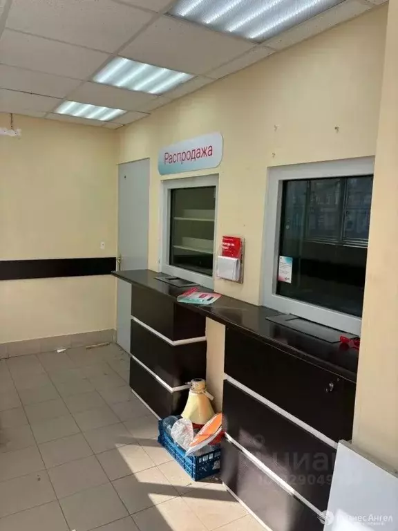 Помещение свободного назначения в Ленинградская область, Мурино ... - Фото 2