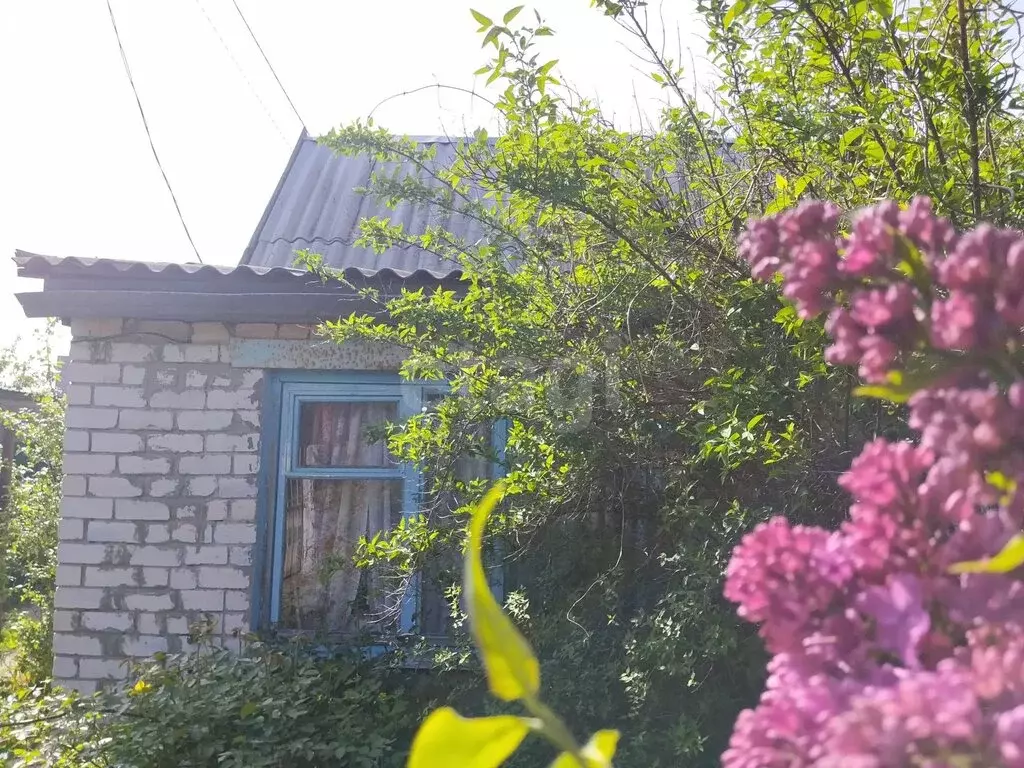 Дом в Саратовская область, муниципальное образование Балашов, садовые ... - Фото 1
