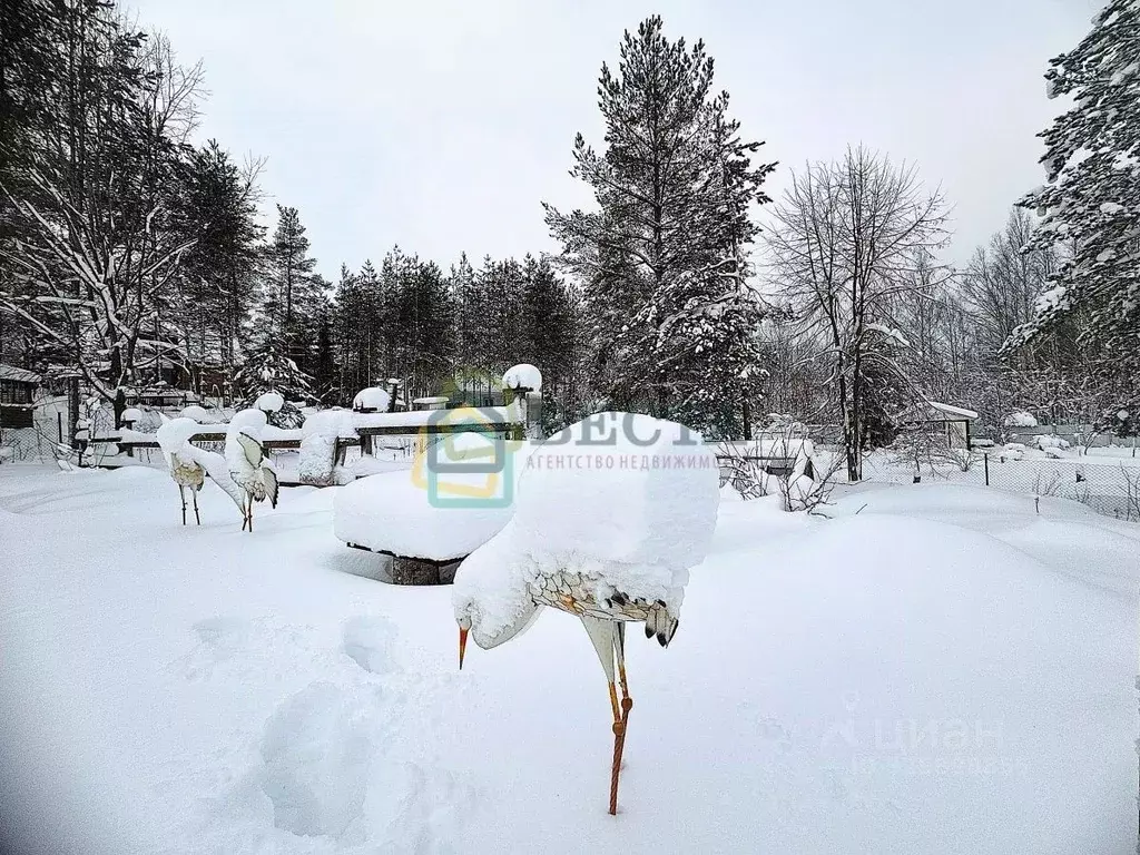Участок в Ленинградская область, Всеволожский район, Агалатовское ... - Фото 2