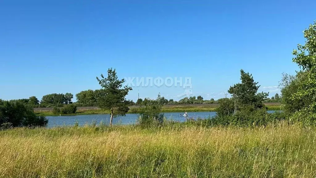 Участок в Архангельская область, Приморский муниципальный округ, д. ... - Фото 0