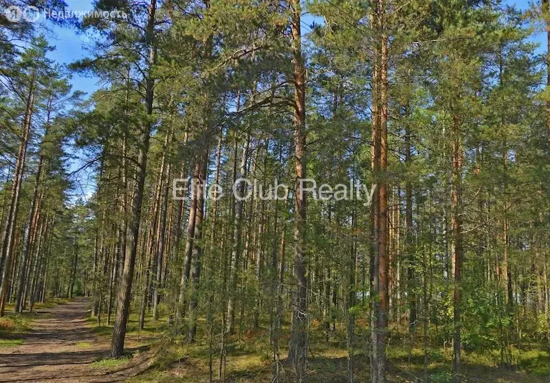 Участок в посёлок Комарово, Пионерская улица (25 м) - Фото 1