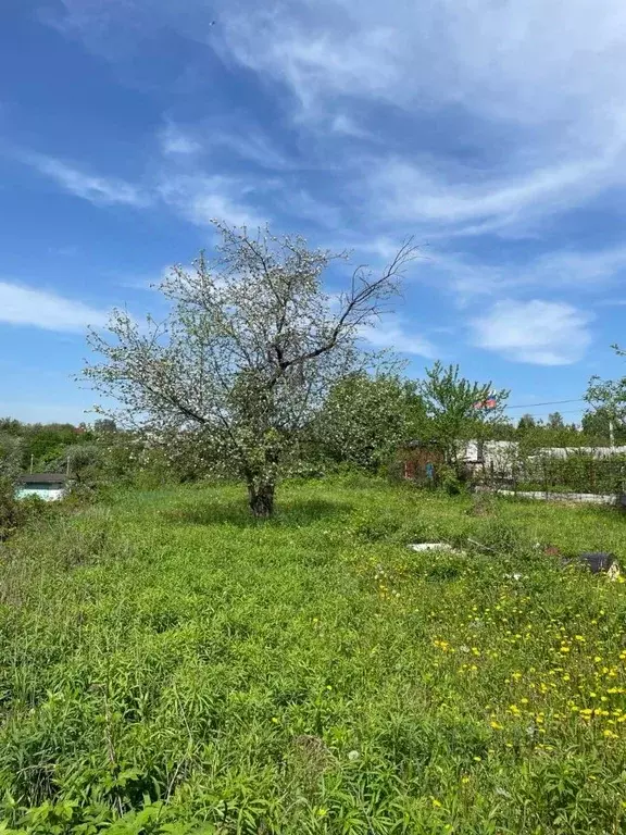 Участок в Курская область, Железногорск Мичуринец СНТ, 508 (7.4 сот.) - Фото 2