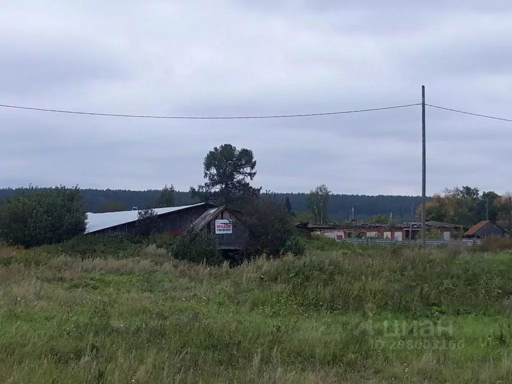 Склад в Свердловская область, Сысертский муниципальный округ, с. ... - Фото 0