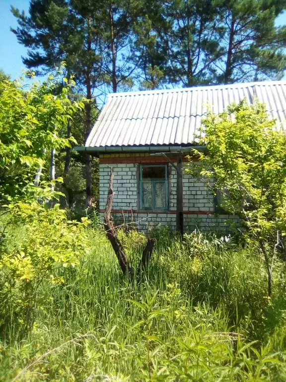 Участок 6 сот. (СНТ, ДНП) - Фото 0