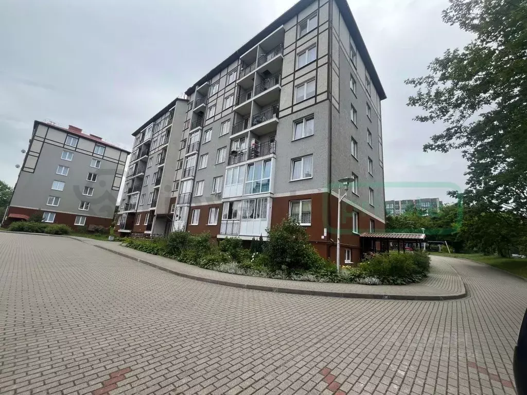 Помещение свободного назначения в Калининградская область, Светлогорск ... - Фото 1