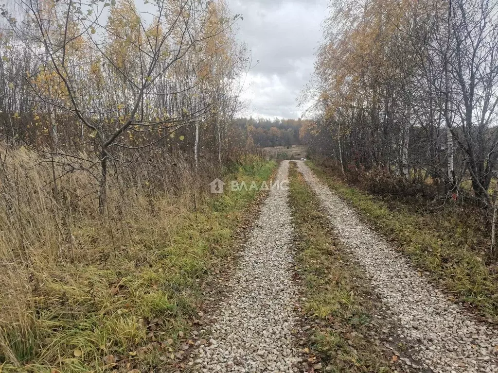 Участок в Владимирская область, Суздальский район, с. Новоалександрово ... - Фото 1