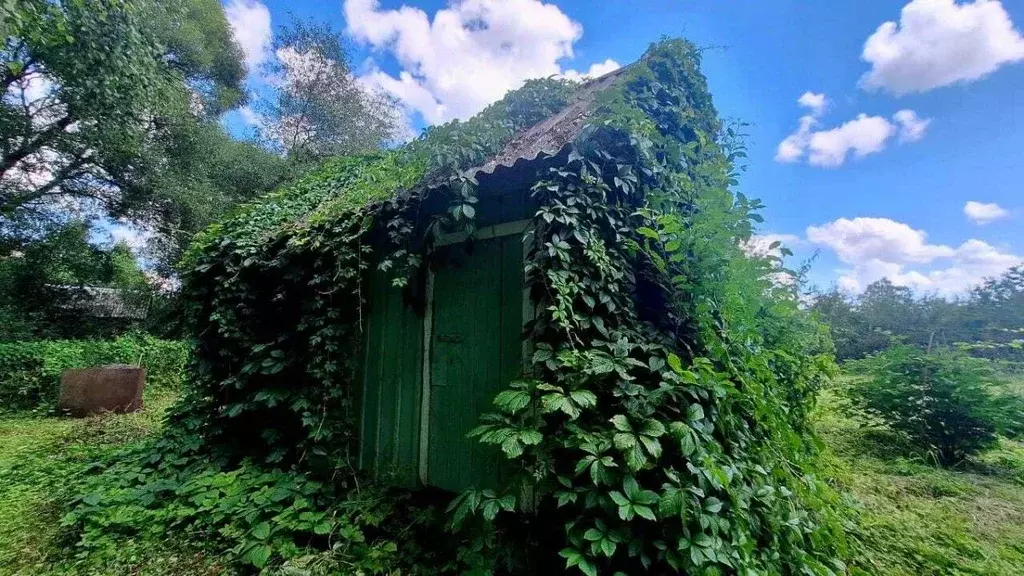 Дом в Брянская область, Брянск Садовод садовое общество,  (20 м) - Фото 0