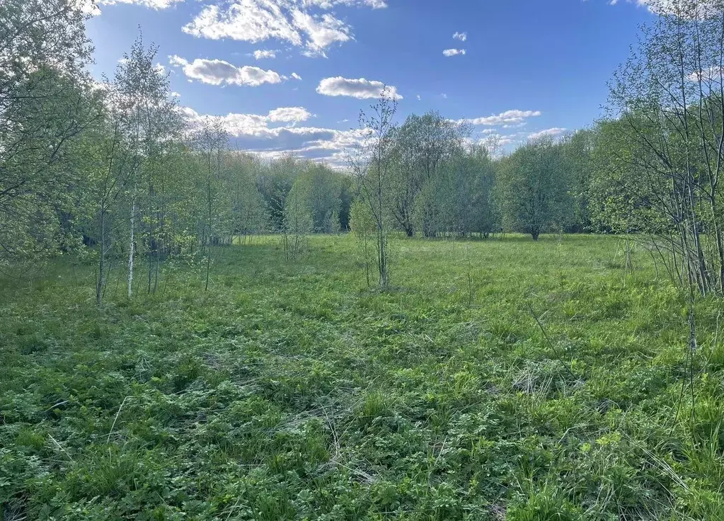 Участок, 20 сот., поселения (ижс) - Фото 1