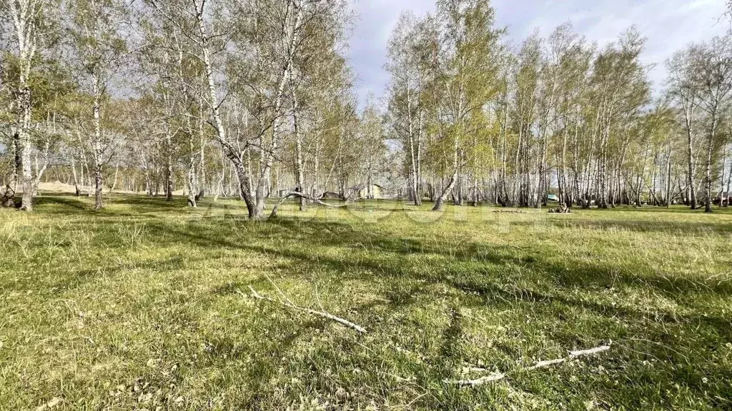 Участок в Новосибирская область, Новосибирский район, Ярковский ... - Фото 2