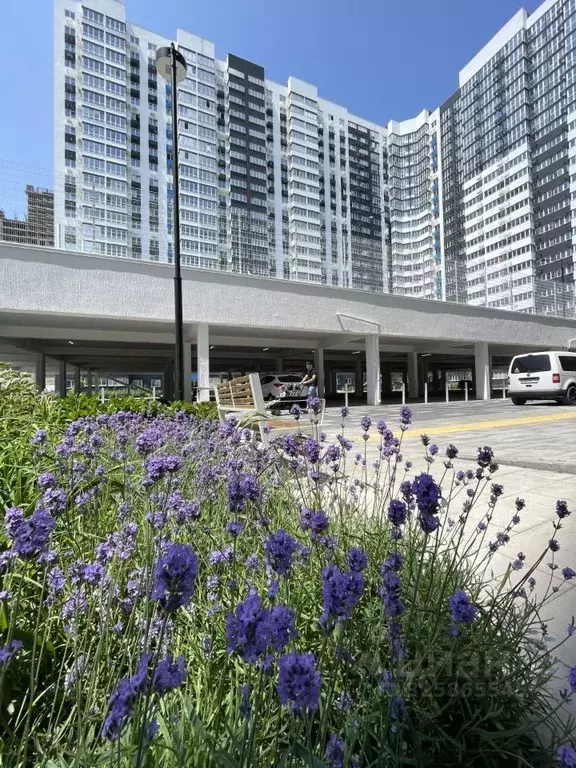 2-к кв. Краснодарский край, Новороссийск ул. Куникова, 47Г (50.3 м) - Фото 1