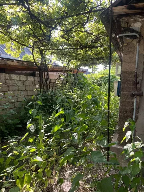 Дом в Кабардино-Балкария, Нальчик ул. Братьев Кушховых, 83 (45 м) - Фото 1