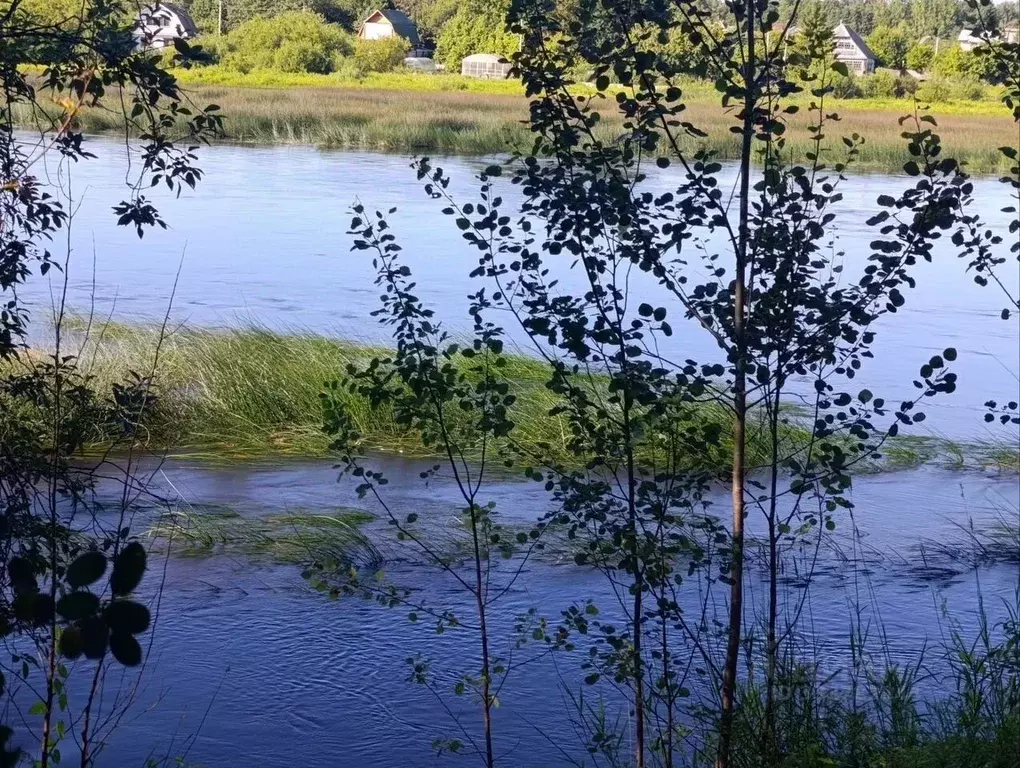 Дом в Ленинградская область, Кингисепп Заречная ул. (30 м) - Фото 2