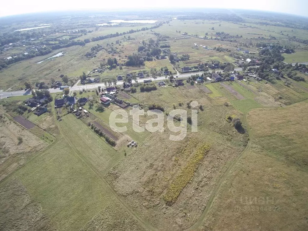 Участок в Брянская область, Выгоничский район, Кокинское с/пос, с. ... - Фото 2