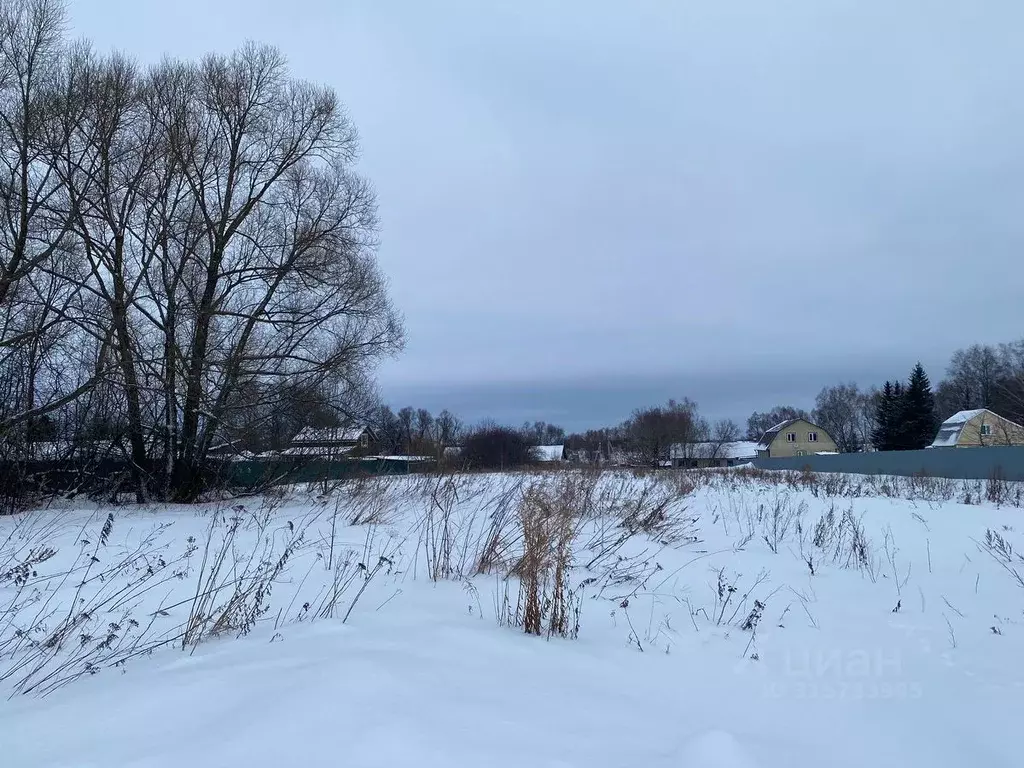 Участок в Московская область, Кашира городской округ, д. Елькино  ... - Фото 0