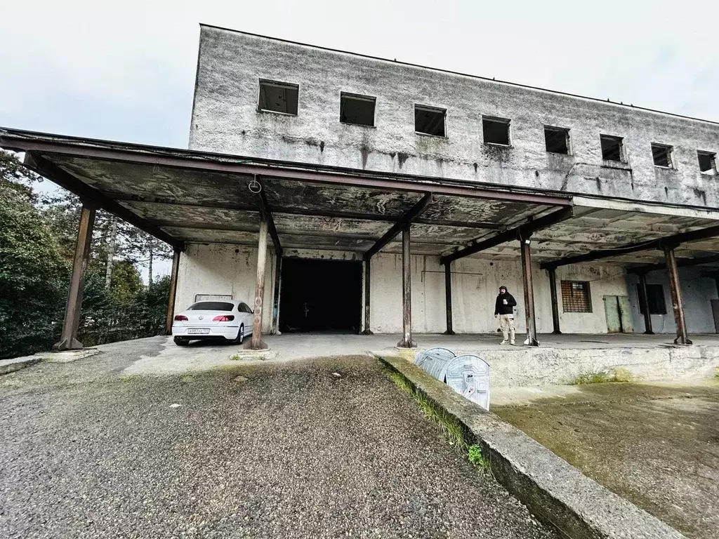 Помещение свободного назначения в Краснодарский край, Сочи ул. ... - Фото 1