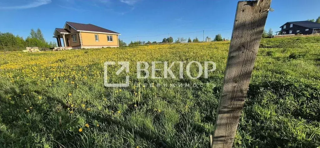 Участок в Ивановская область, Иваново ул. Совхоз ОРС (10.8 сот.) - Фото 1