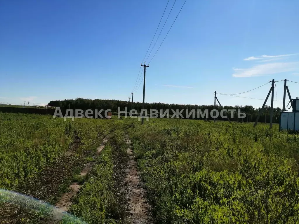 Участок в Тюменская область, Тюменский район, с. Червишево  (8.02 ... - Фото 0