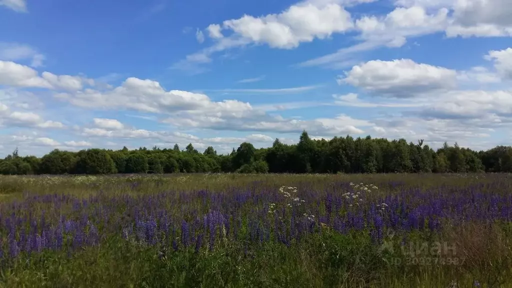 Участок в Смоленская область, Смоленский муниципальный округ, д. ... - Фото 0