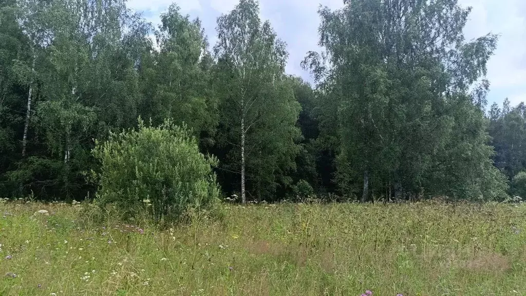 Участок в Московская область, Можайский муниципальный округ, Лесной кп ... - Фото 1