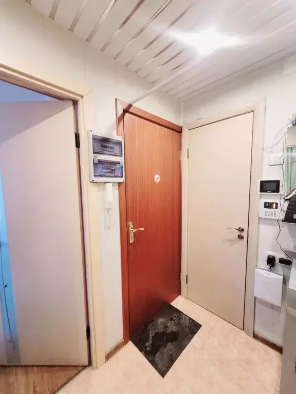 4-к кв. Санкт-Петербург ул. Костюшко, 22 (49.1 м) - Фото 1