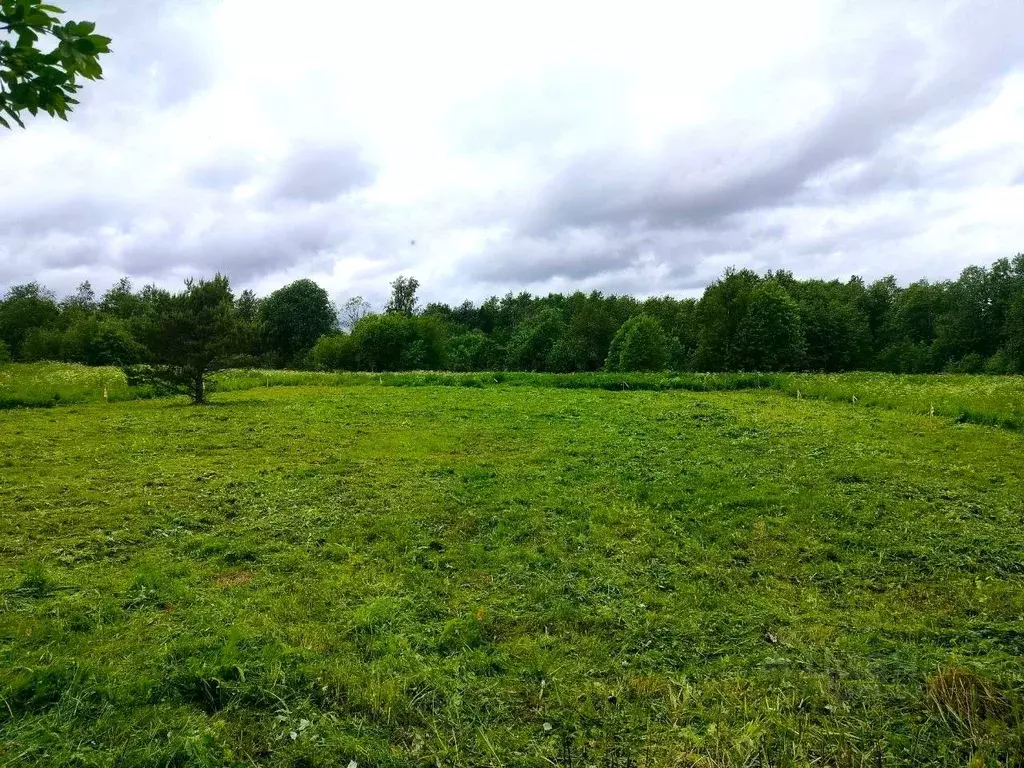 Участок в Карелия, Прионежский район, с. Шелтозеро  (16.0 сот.) - Фото 2