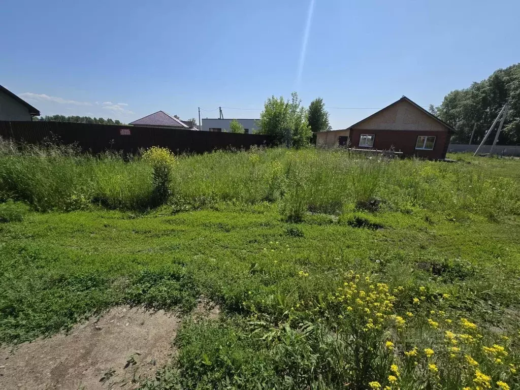 Участок в Новосибирская область, Новосибирский район, Морской ... - Фото 1