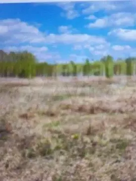 Участок 15 сот. (ИЖС) - Фото 1