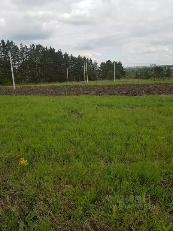 Участок в Орловская область, Орловский муниципальный округ, д. ... - Фото 1