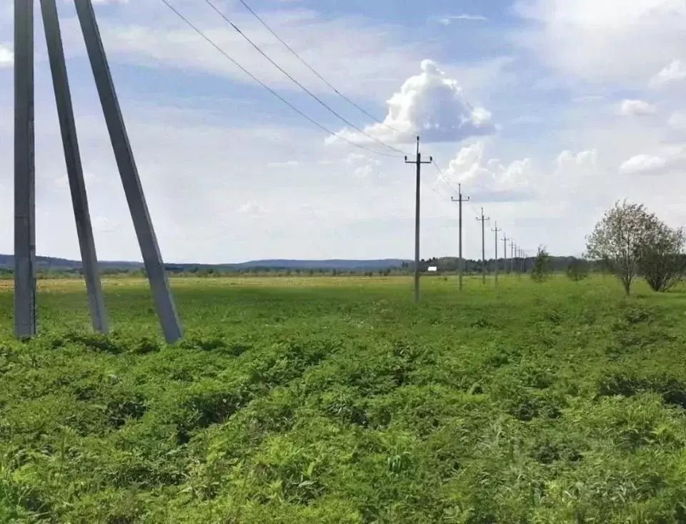Участок в Московская область, Дмитровский муниципальный округ, д. ... - Фото 1