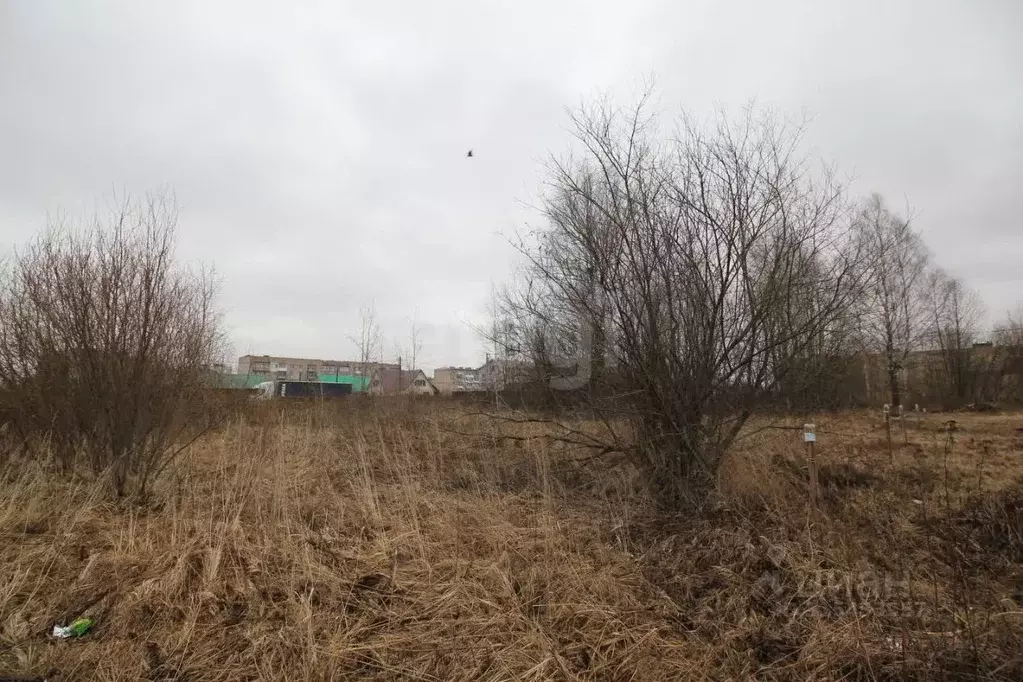 Участок в Вологодская область, Шексна рп ул. Западная (10.0 сот.) - Фото 1