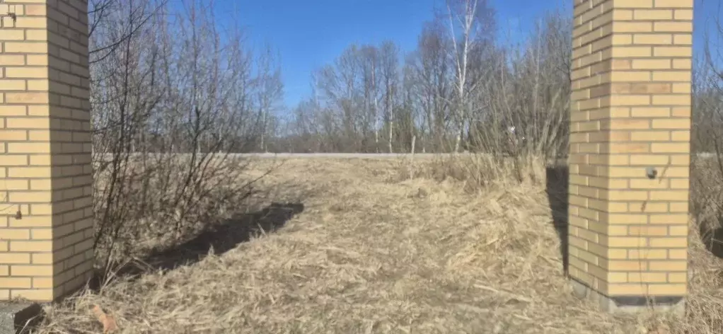 Участок в Московская область, Богородский городской округ, с. ... - Фото 1