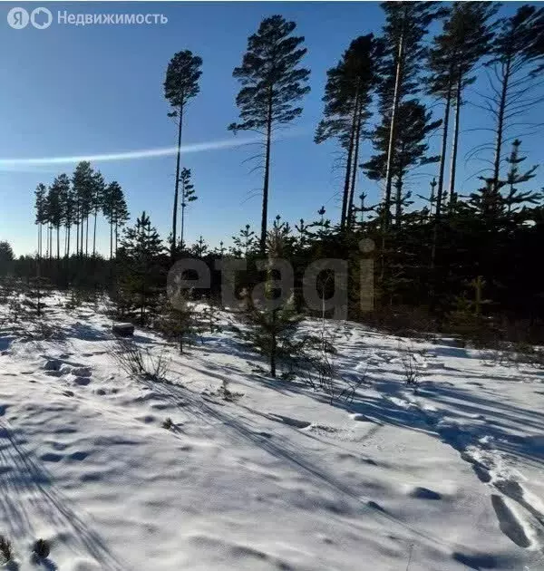 Участок в село Смоленка, микрорайон Добротный (2.5 м) - Фото 1