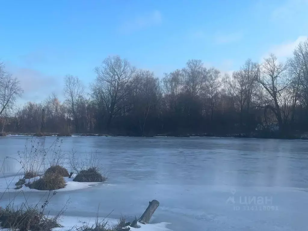 Участок в Московская область, Серпухов городской округ, д. Тульчино  ... - Фото 0