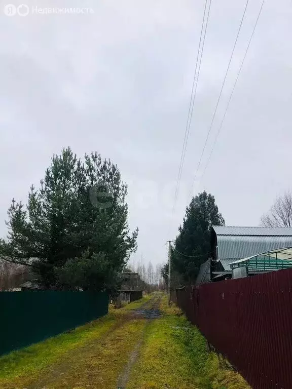 Участок в Костромской район, Бакшеевское сельское поселение, СНТ ... - Фото 2