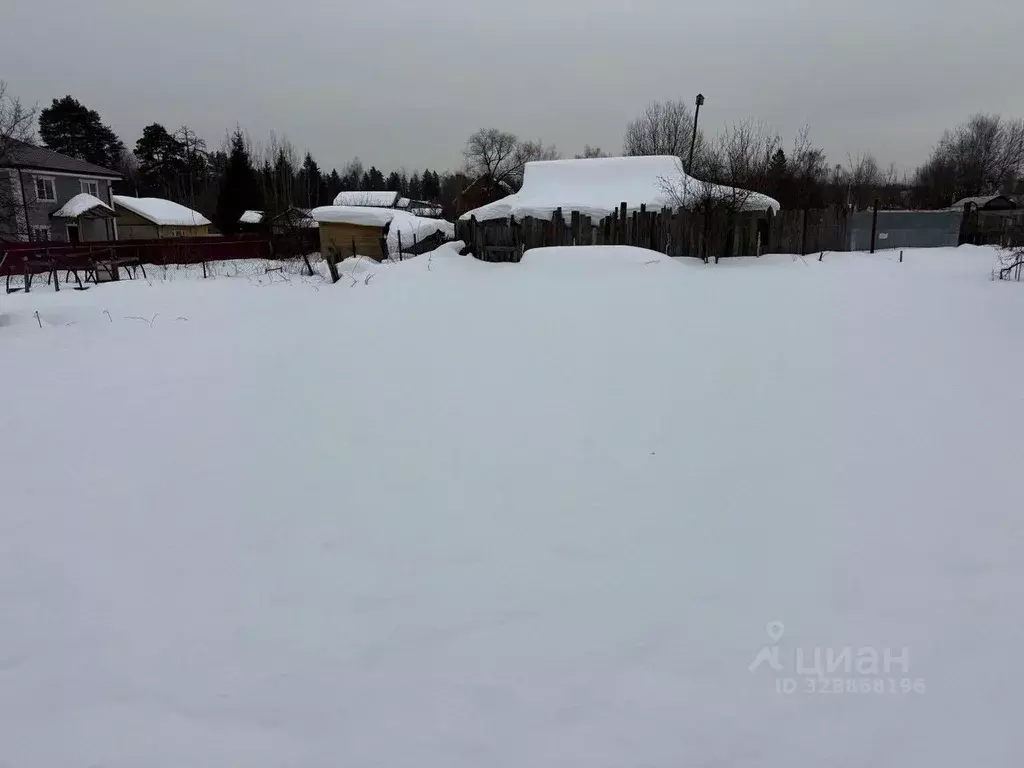 Участок в Московская область, Пушкинский городской округ, Лесной пгт  ... - Фото 1