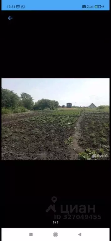 Участок в Белгородская область, Белгородский район, Бессоновское ... - Фото 1